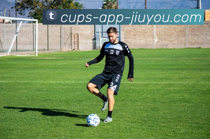 九游体育官网平台生态图